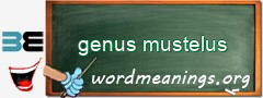 WordMeaning blackboard for genus mustelus